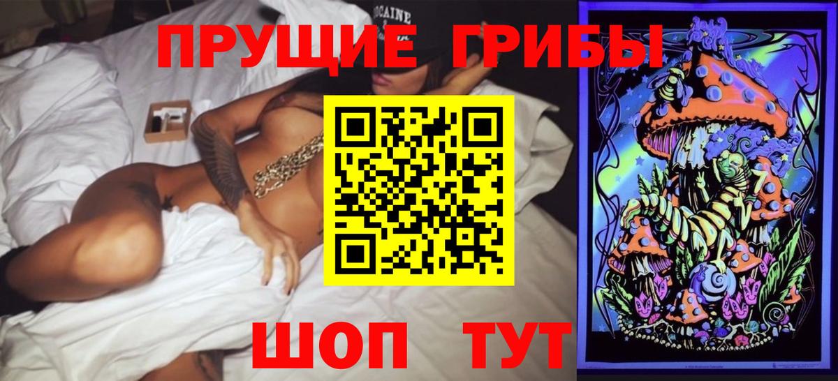 Псилоцибиновые грибы Cubensis Александров