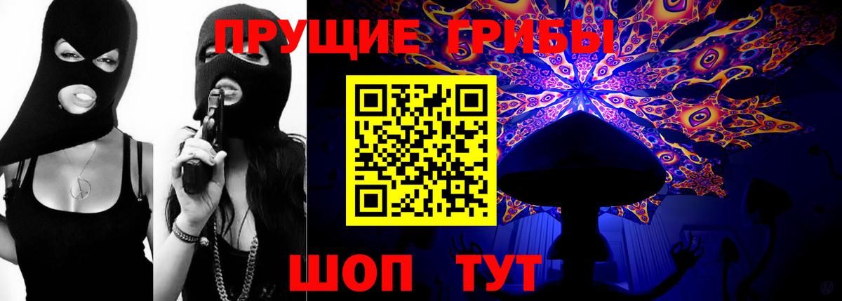 как найти   Галлюциногенные грибы GOLDEN TEACHER  Александров  Вход с VPN  Псилоцибиновые грибы Psilocybine cubensis 